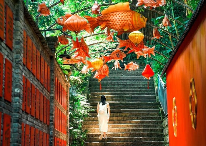 Chengdu Group Tour: 3 Days Chengdu Small Group Tour