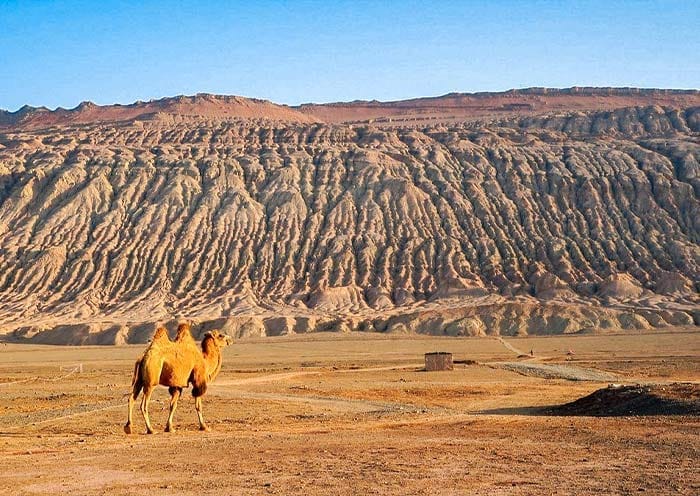 13 Days Xinjiang Silk Road Tour with Taklamakan Desert
