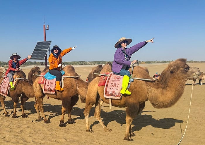 3 Days Qinghai Tour with Qinghai Lake & Chaka Salt Lake - Classic Qinghai Tour - 1