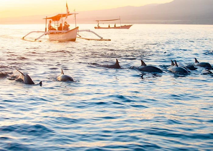 9 Days Bali Lombok Honeymoon Adventure Tour: Wild Dolphins, Pink Beach - 2