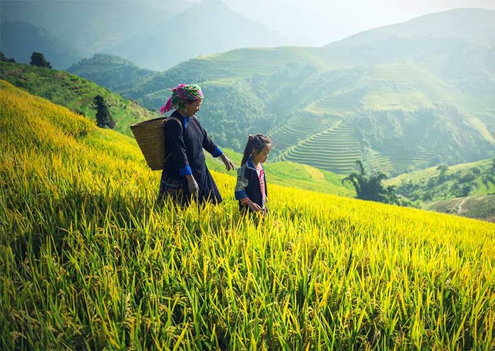 5 Days Sapa Hill Tribe Trekking