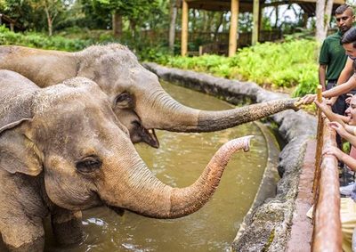 4 Days Singapore City Explorer