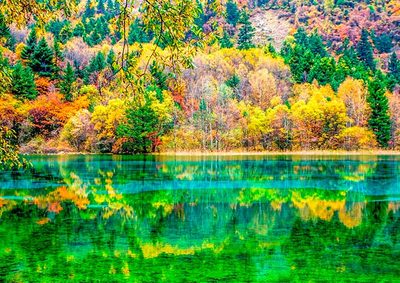 Asia National Parks