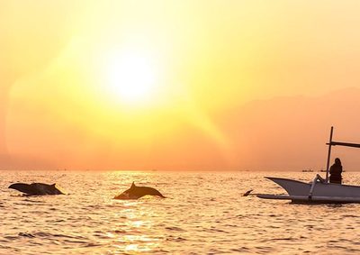 8 Days Bali Gili Honeymoon Tour: Playful Dolphin, Snorkeling