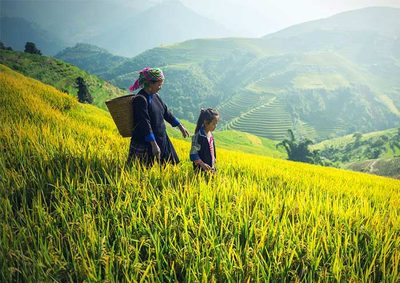 5 Days Sapa Hill Tribe Trekking
