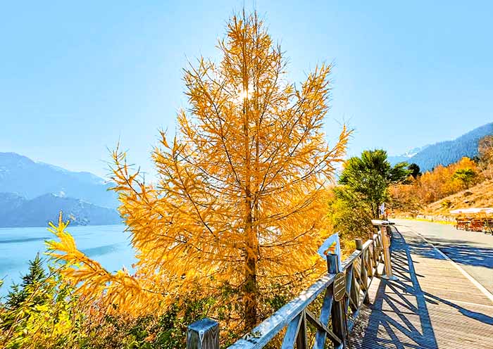 10 Days China Silk Road Classic Tour - 4